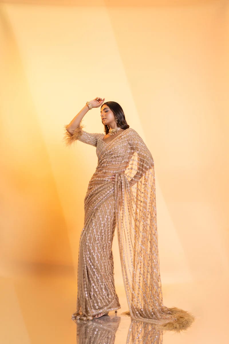 Precious  Cream Color Mono Net With Sequins Embroidery work Saree