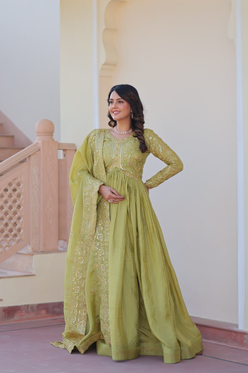 Multi Embroidered Pista Color Glimmering Gown