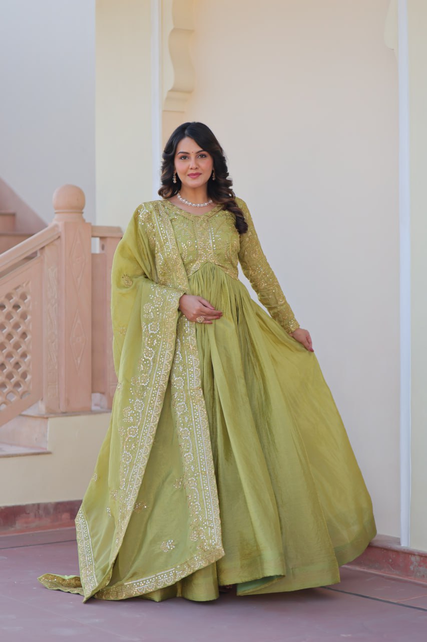 Multi Embroidered Pista Color Glimmering Gown