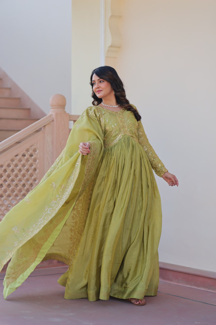 Multi Embroidered Pista Color Glimmering Gown