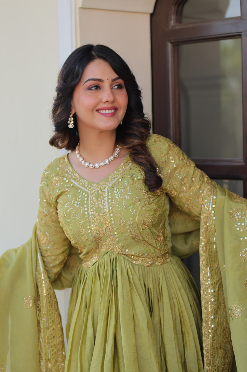 Multi Embroidered Pista Color Glimmering Gown