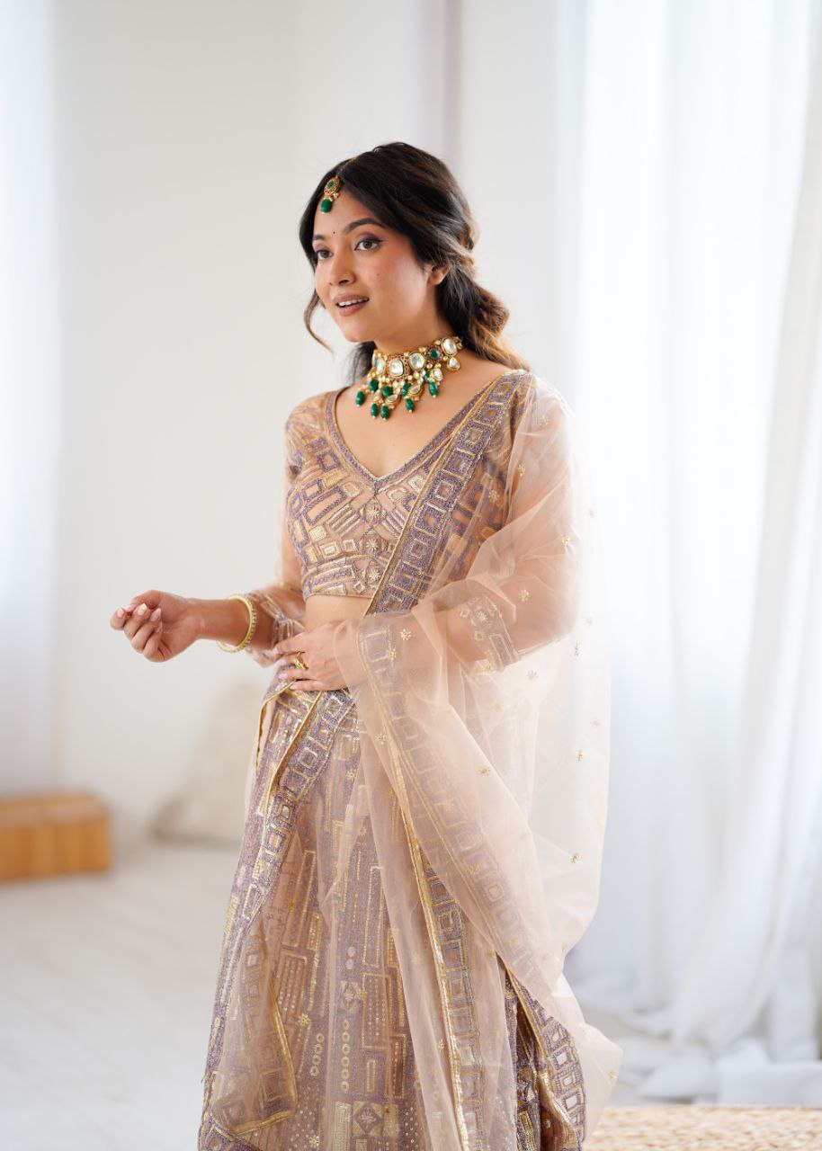Amazing Beige Net Embroidery Work Lehenga Choli